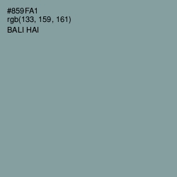 #859FA1 - Bali Hai Color Image