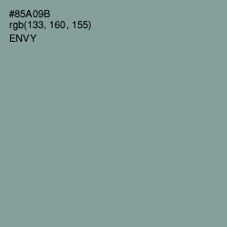 #85A09B - Envy Color Image