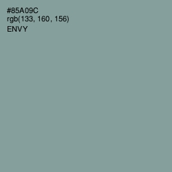 #85A09C - Envy Color Image