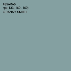 #85A0A0 - Granny Smith Color Image