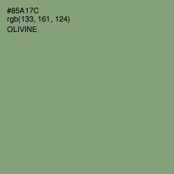 #85A17C - Olivine Color Image