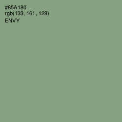 #85A180 - Envy Color Image