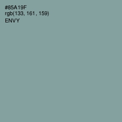 #85A19F - Envy Color Image