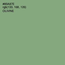#85A87E - Olivine Color Image
