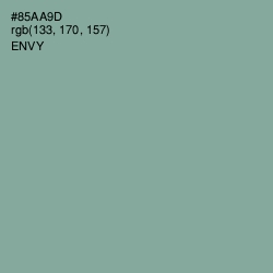 #85AA9D - Envy Color Image