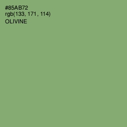 #85AB72 - Olivine Color Image