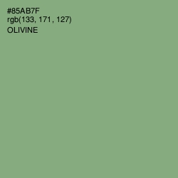 #85AB7F - Olivine Color Image