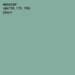 #85AD9F - Envy Color Image