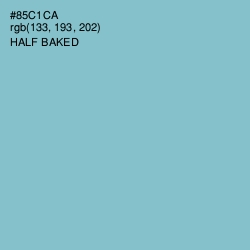 #85C1CA - Half Baked Color Image