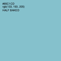 #85C1CD - Half Baked Color Image