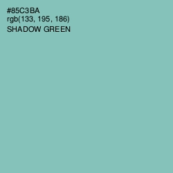 #85C3BA - Shadow Green Color Image