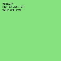 #85E27F - Wild Willow Color Image