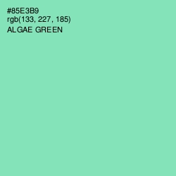 #85E3B9 - Algae Green Color Image