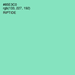#85E3C0 - Riptide Color Image