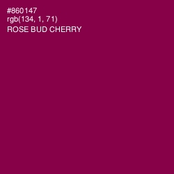 #860147 - Rose Bud Cherry Color Image