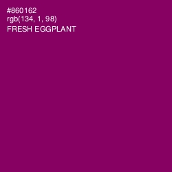 #860162 - Fresh Eggplant Color Image