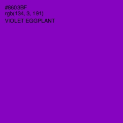 #8603BF - Violet Eggplant Color Image