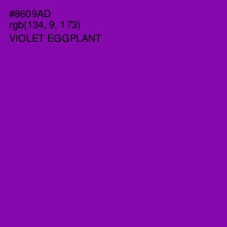 #8609AD - Violet Eggplant Color Image