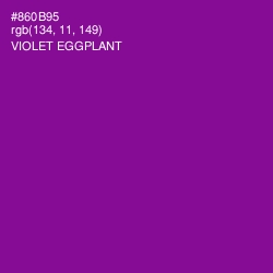 #860B95 - Violet Eggplant Color Image