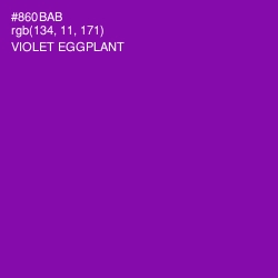 #860BAB - Violet Eggplant Color Image