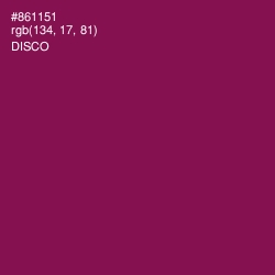 #861151 - Disco Color Image