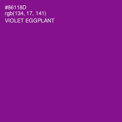 #86118D - Violet Eggplant Color Image