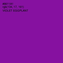 #8611A1 - Violet Eggplant Color Image