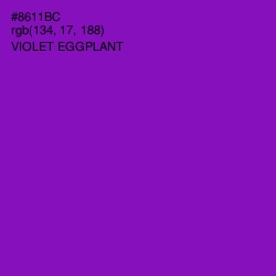 #8611BC - Violet Eggplant Color Image