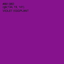 #86138D - Violet Eggplant Color Image