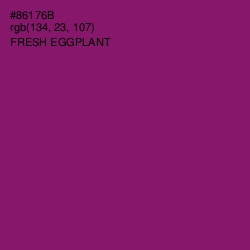 #86176B - Fresh Eggplant Color Image