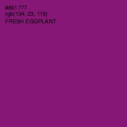 #861777 - Fresh Eggplant Color Image