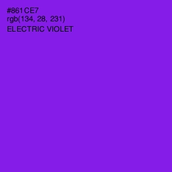 #861CE7 - Electric Violet Color Image