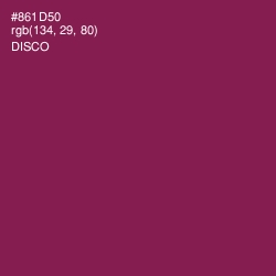 #861D50 - Disco Color Image