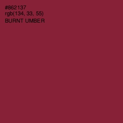 #862137 - Burnt Umber Color Image