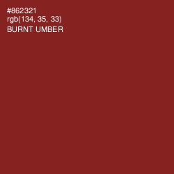 #862321 - Burnt Umber Color Image