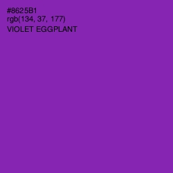 #8625B1 - Violet Eggplant Color Image