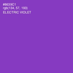 #8639C1 - Electric Violet Color Image