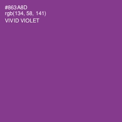 #863A8D - Vivid Violet Color Image