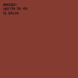 #863B31 - El Salva Color Image