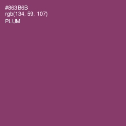 #863B6B - Plum Color Image