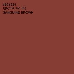 #863E34 - Sanguine Brown Color Image