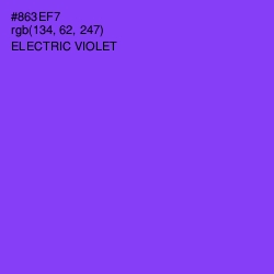 #863EF7 - Electric Violet Color Image