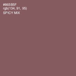 #865B5F - Spicy Mix Color Image
