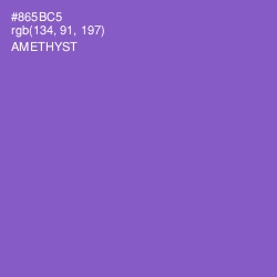 #865BC5 - Amethyst Color Image