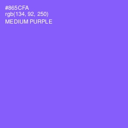 #865CFA - Medium Purple Color Image