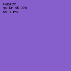 #865FCC - Amethyst Color Image