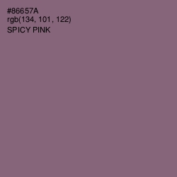 #86657A - Spicy Pink Color Image