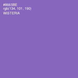 #8665BE - Wisteria Color Image