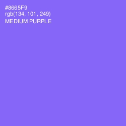 #8665F9 - Medium Purple Color Image