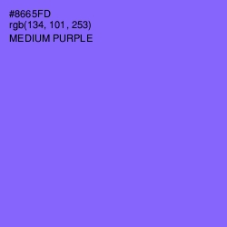 #8665FD - Medium Purple Color Image